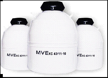 ���ݴ���